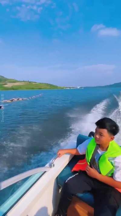 Skein of geese slipstreaming a boat