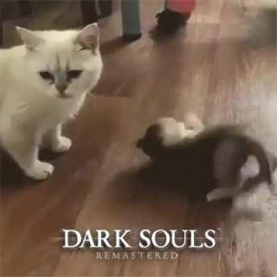 touch and roll away .