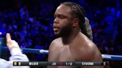 Deontay Wilder obliterates Bermane Stiverne