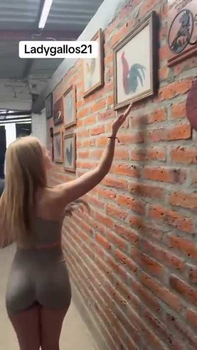 No sabía que me gustaba los gallos