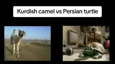 Epic rap battle of history