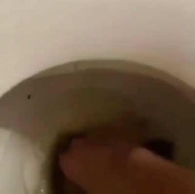 They like to call me shitboy 😎😎