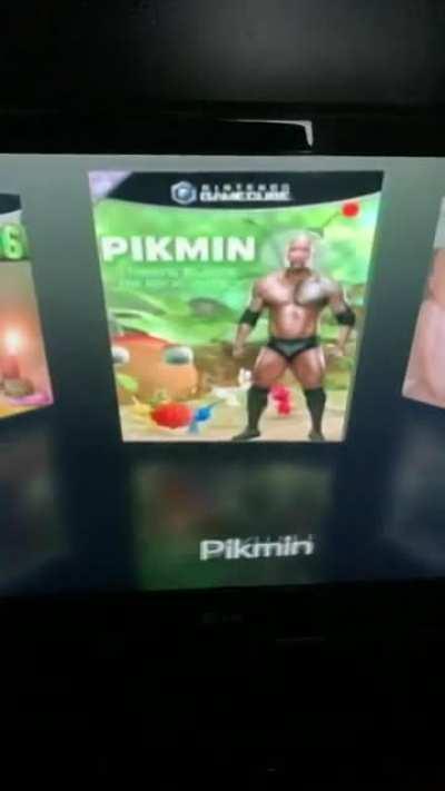 Friend asked me to hack his wii so he could play his GC games from an SD card. Got bored and made custom shitposty box art for all the games.