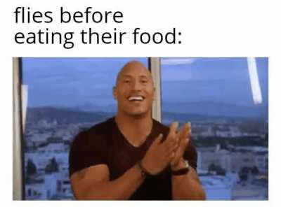 I swear Next one will be better