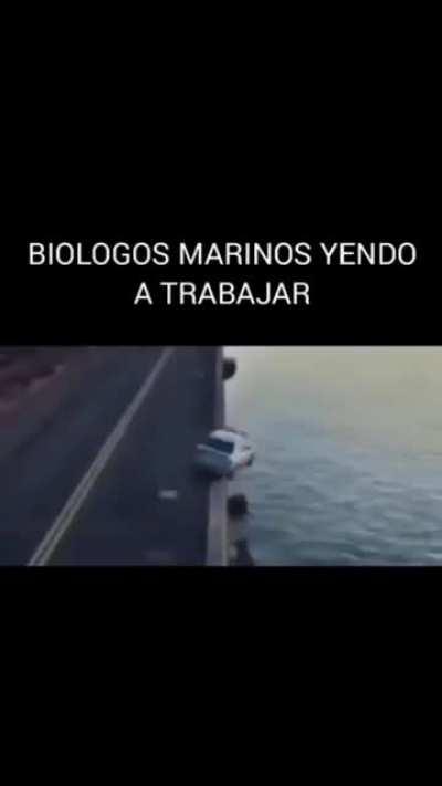 Ojalá descubra si los peces se tragan su propio semen
