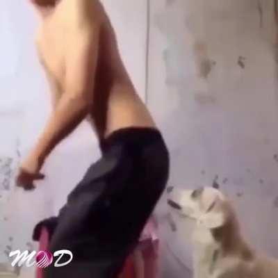 let me shake it infront of this dog