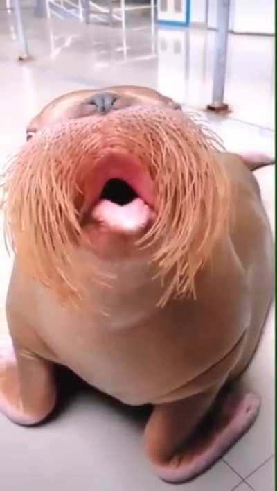 Was not ready for those lips