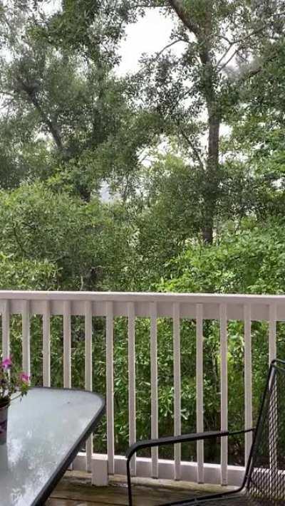 It’s been raining a lot here in Wilmington, NC.