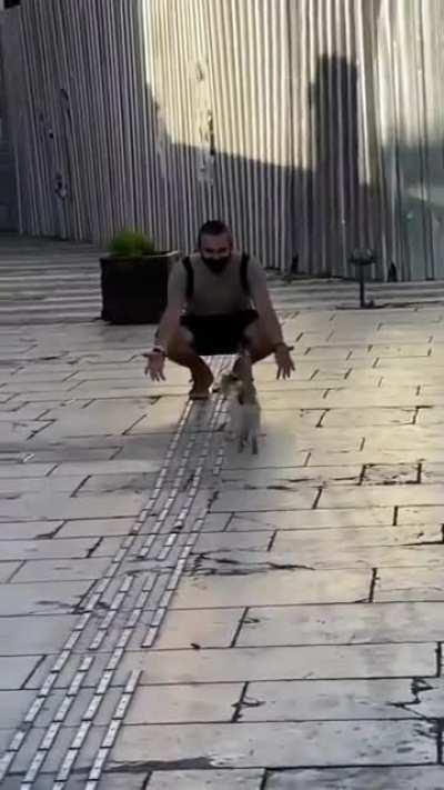 This is the MOST cat thing ever!