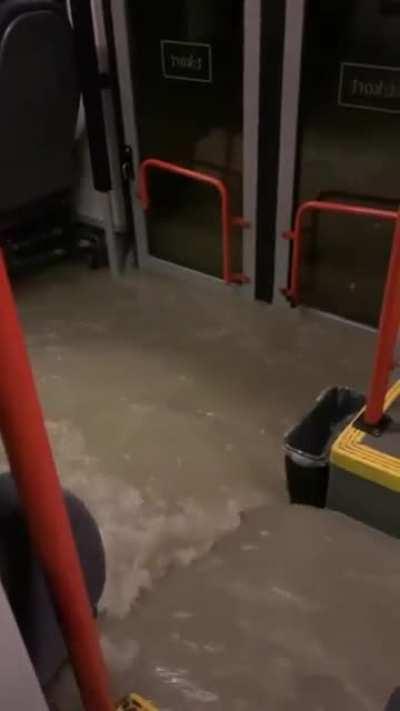 God morgen fra Gyda:)