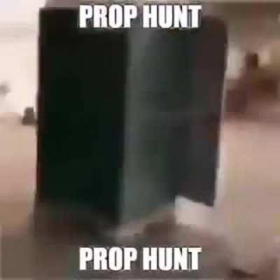 Me in Prop Hunt