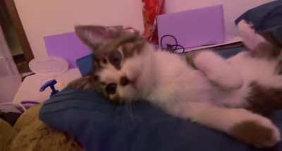 What I usually wake up to.