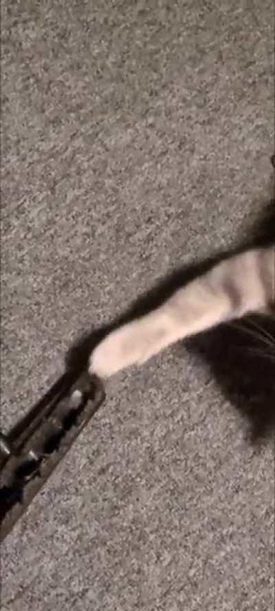 Doug isn't a fan of the vacuum.