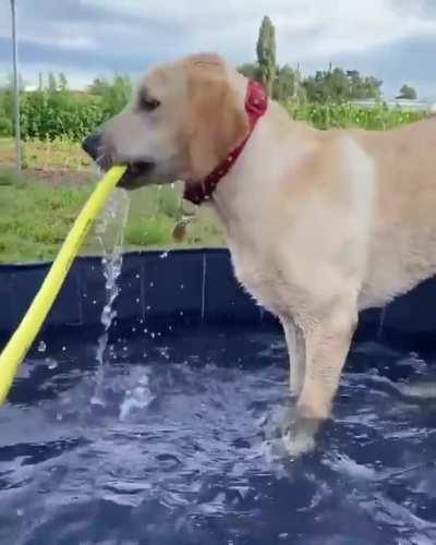 She was having a lovely day playing in the pool until it all went terribly wrong.