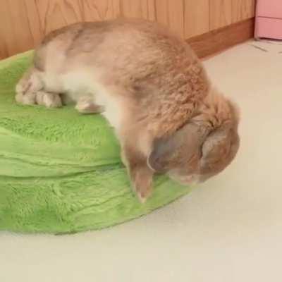 He's too tired to care