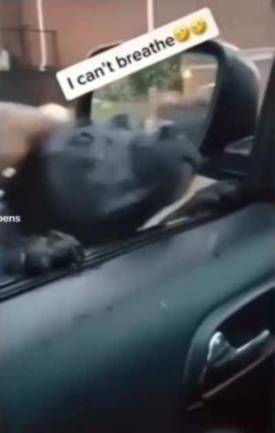 Dog forcefully adopts owners.