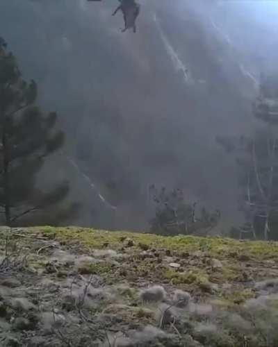 An Eagle flying away with it's hunt...