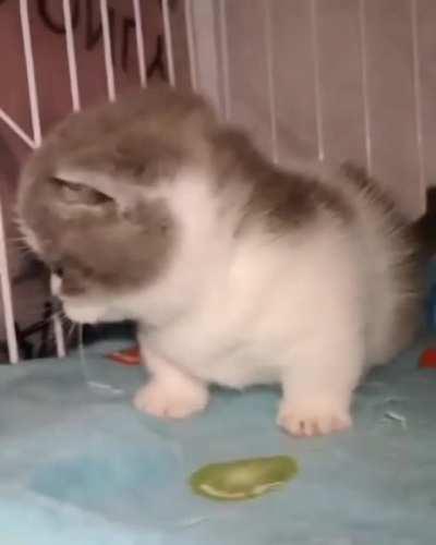 the way they fell 😭🙏