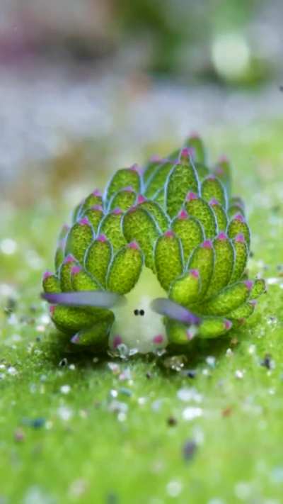 Chaps, I have bought a new caw!