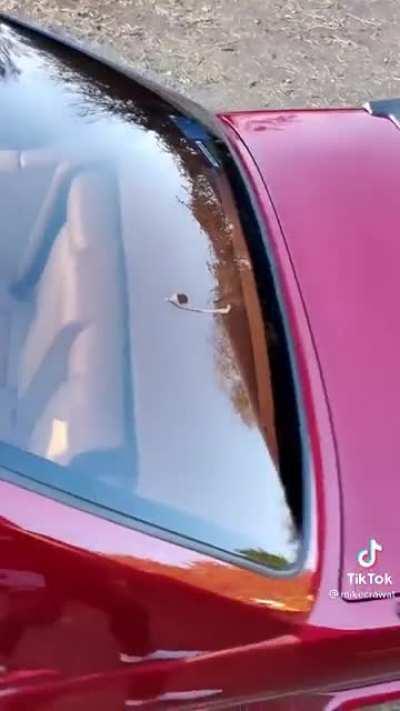 What the hell? That roof dope af