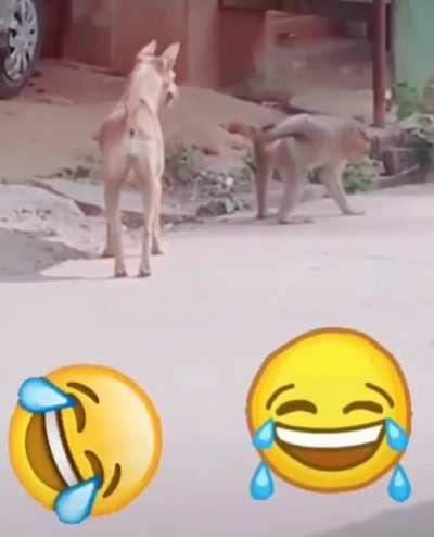 monke making me act up🥵🤬🥵🥶