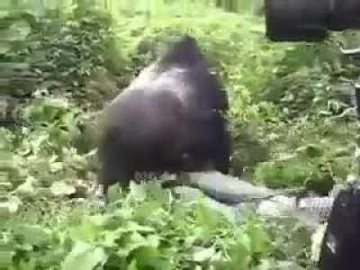 This guy has a guardian angel