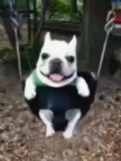 Lindo tesao bonito e gostosao 