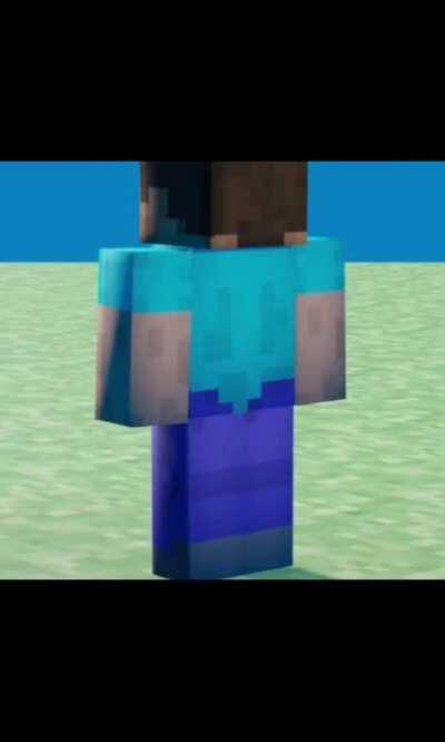 Steve passes the vibe check 💯💯