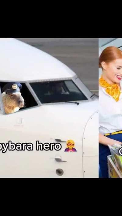 Ryan unironically posted this banger