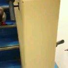 Penguins going down the stairs