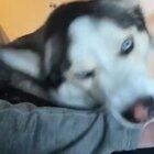 Who told you to stop