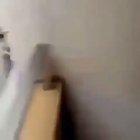 Ah yes, my favorite viral challenge