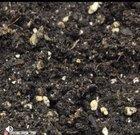 (131 days grow life ) Look at the plants 🌱 vibing out!!!