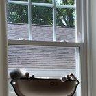 Nice feeling when your cat actually uses something you bought for them