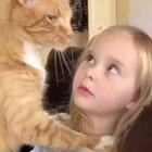 This is my human and mine alone