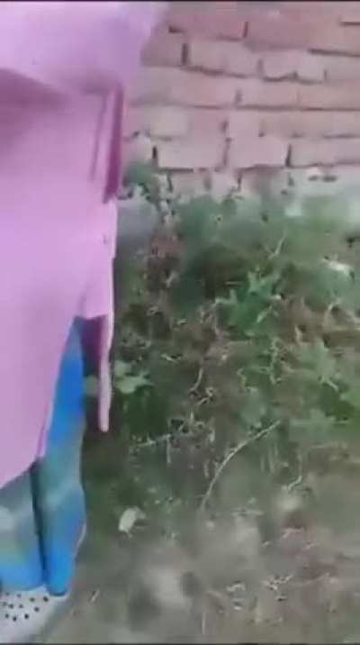 India: Extremists Attack Young Muslims Boys Force them to Chant 'Jai Shri Ram'