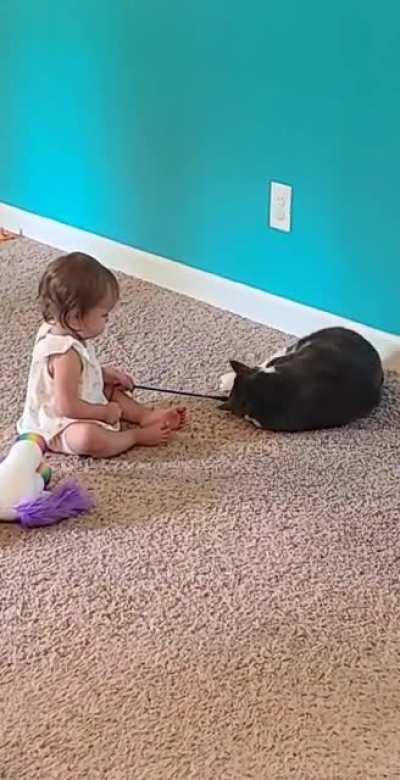 Today, my daughter figured out how to play with our cat