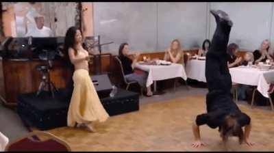 Gordon Ramsay reacts to Greek dancing