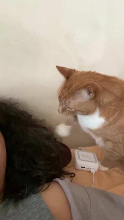 “Put the book down; it’s time for elevenses!”