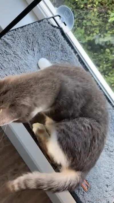 Wait! Where’d it go??