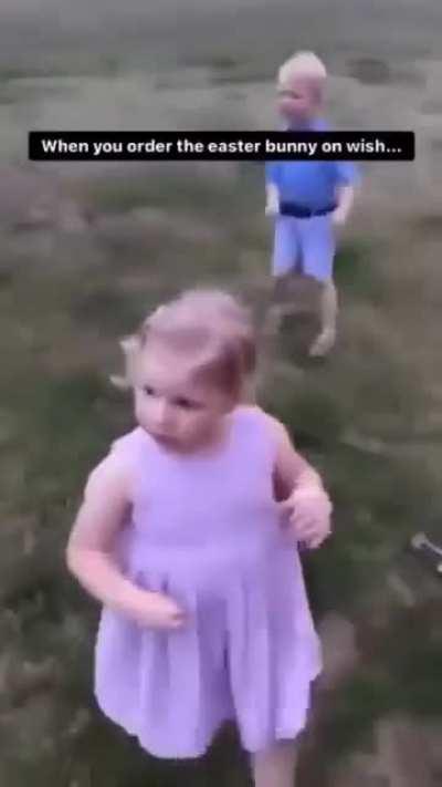 Easter bunny on his way  