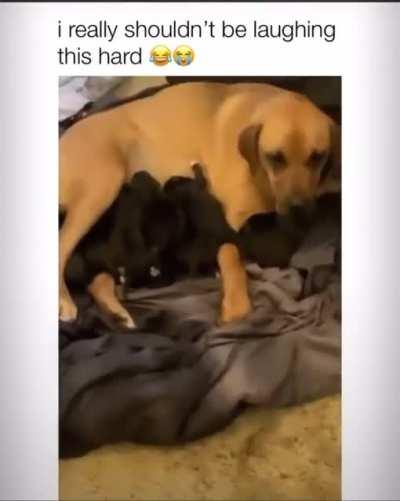 She's gonna have some explaining to do