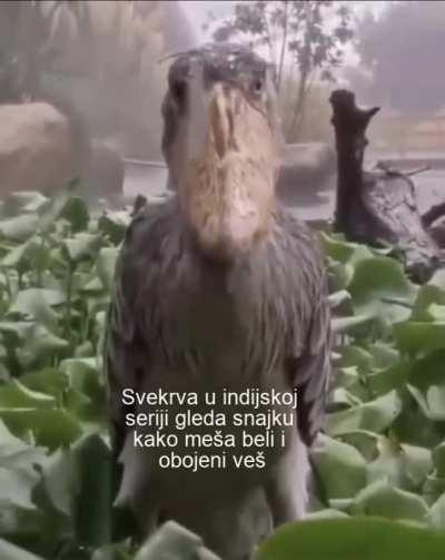 Svaka epizoda po 5 ovih scena