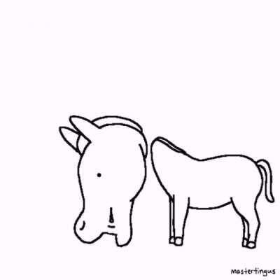 horse cowboy cha cha