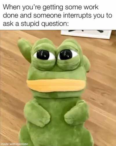 The face of having to tolerate this bullshit