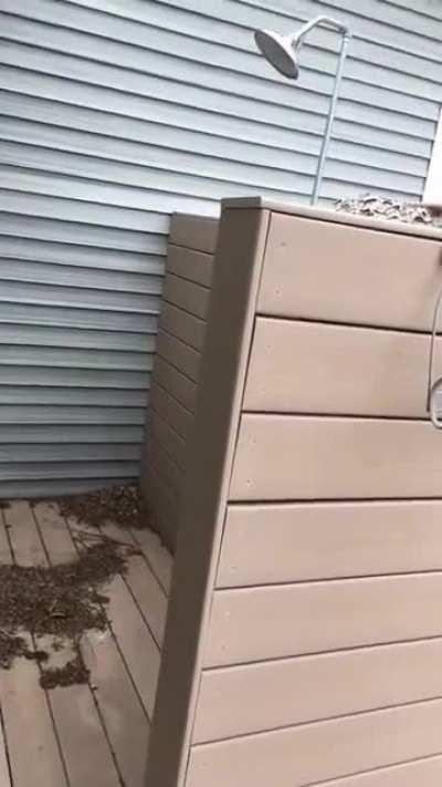 When you want to use the outside shower after a while of not using it