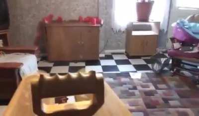 Could definitely probably kill someone and if not, it'll hurt like crazy