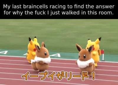 *confused potato noises*