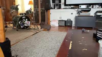 He’s deaf and doesn’t chew microphone cables. The perfect studio bun