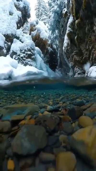 Snowflakes falling into crystal clear water
